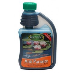 Anti Parasite