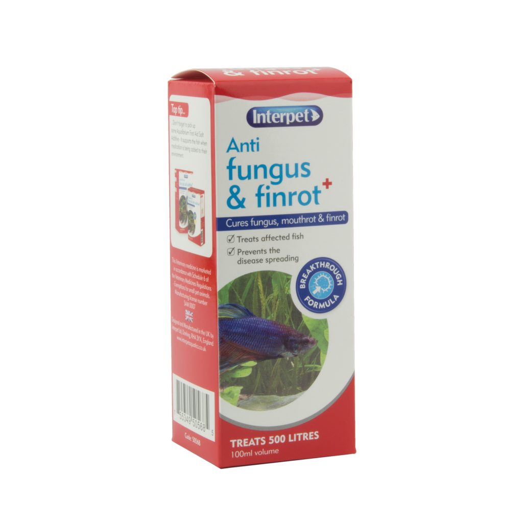 Anti Fungus + Finrot