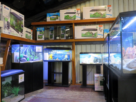 Aquariums, Filters and Media, Accessories