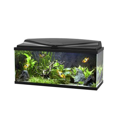 Aqua 80 LED Tank