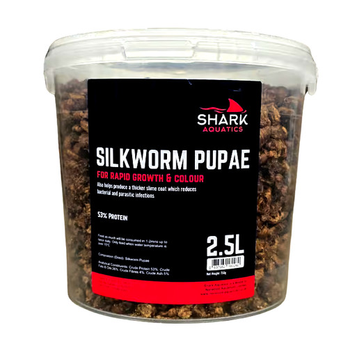 Silkworm Pupae 2.5l