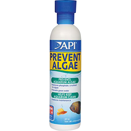 Prevent Algae