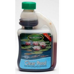 Clear Pond