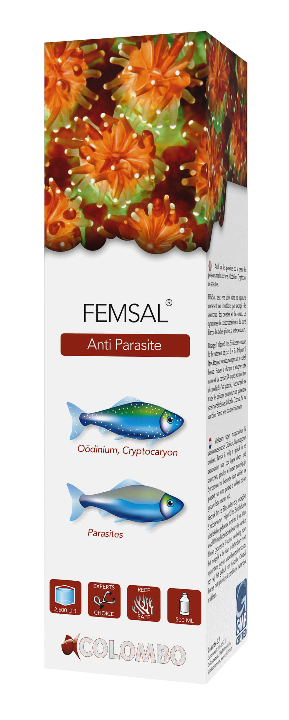 FEMSAL