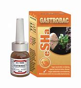 Gastrobac